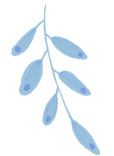 篮球运球训练心得体会范文怎么写_0